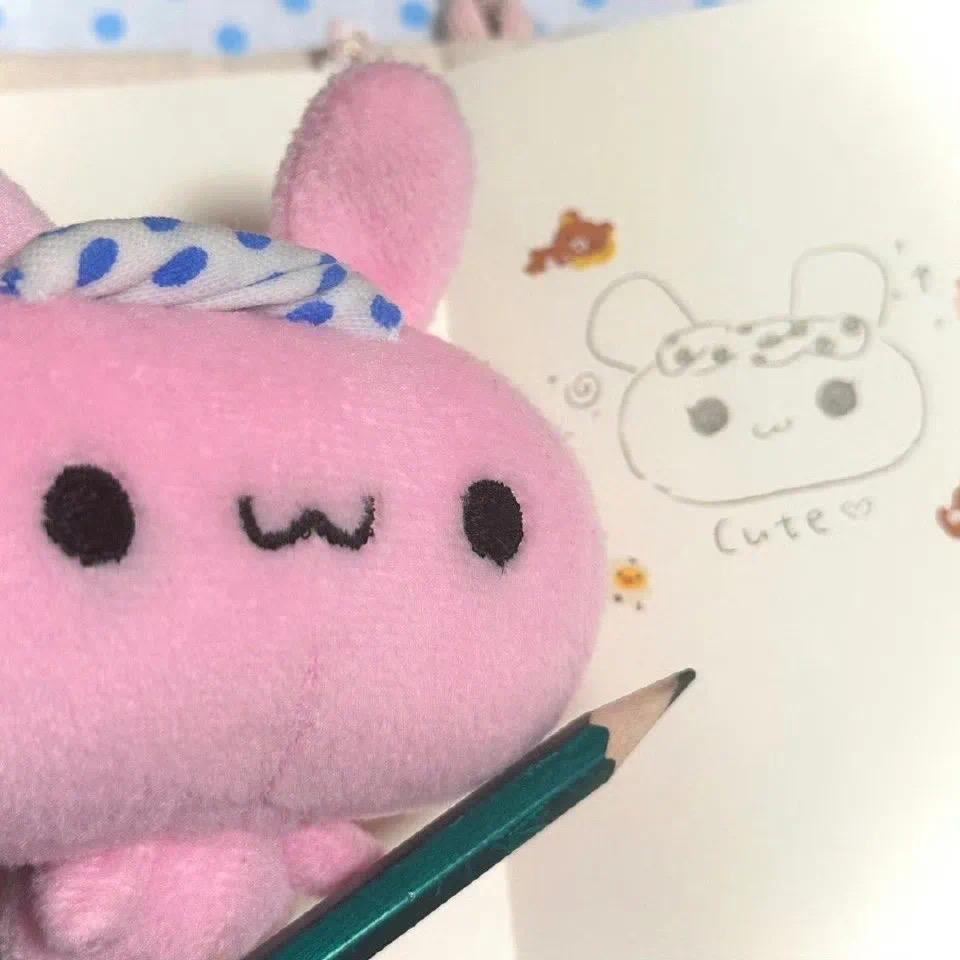 草莓花生🐱