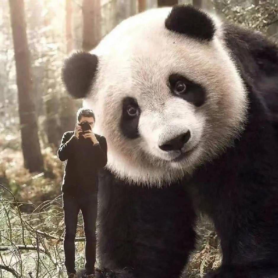 苦衷