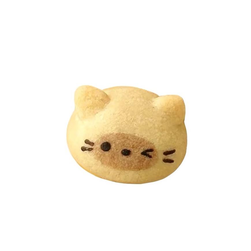 二豆笨笨