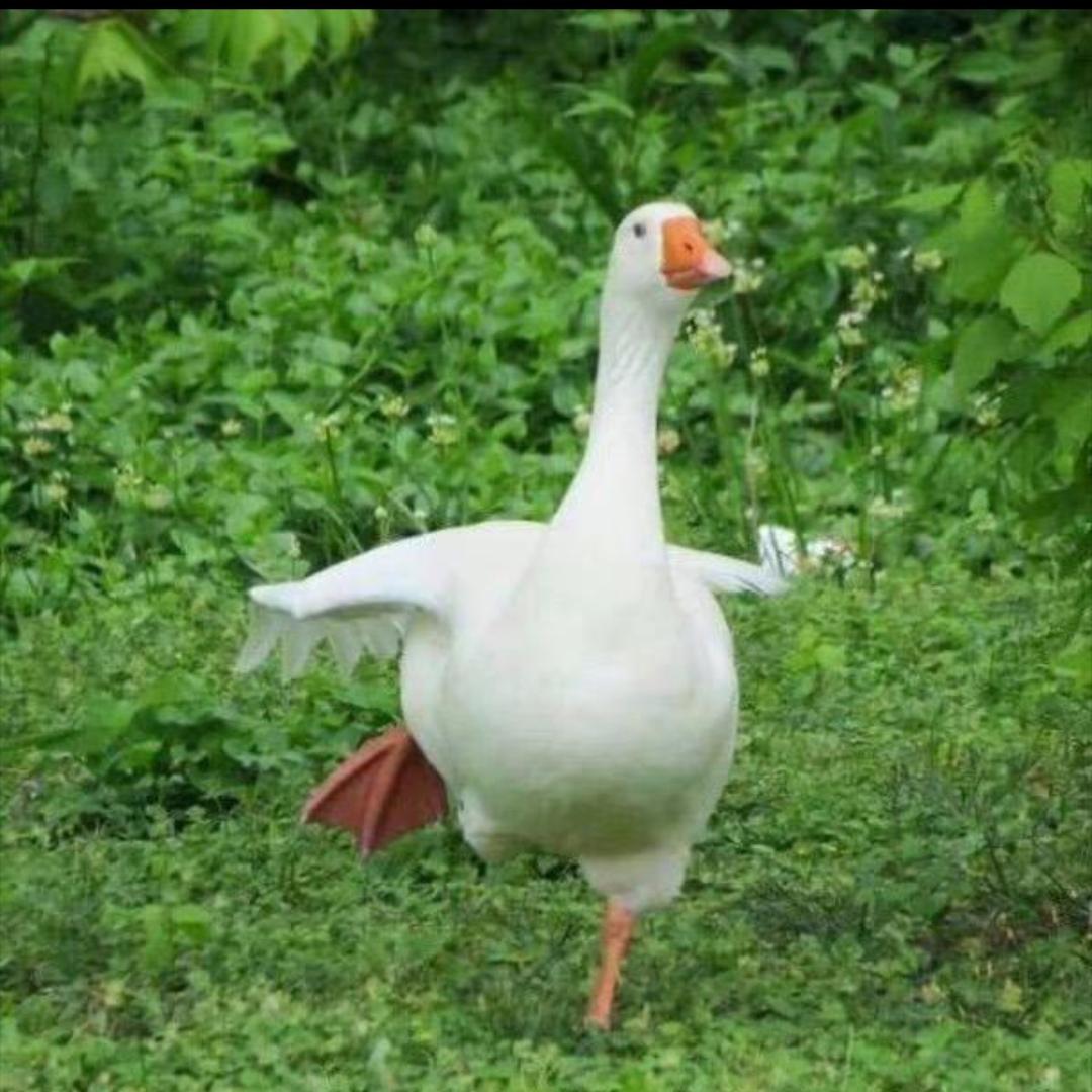 简单的1