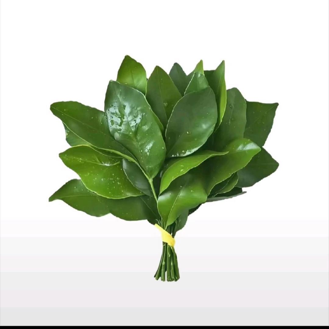TT.
