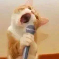 是谁住在深海的大菠萝里