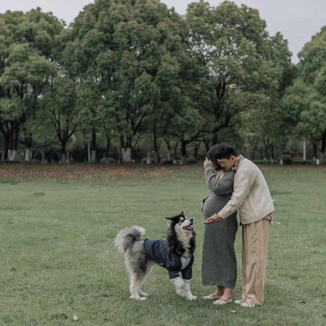 lucky是个笨狗子