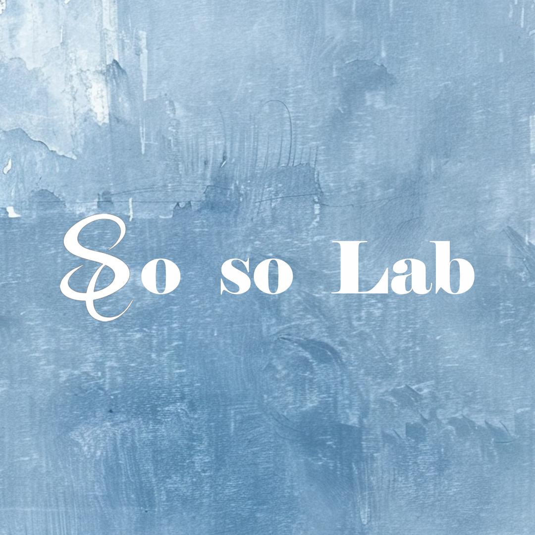 So so Lab 手机壳