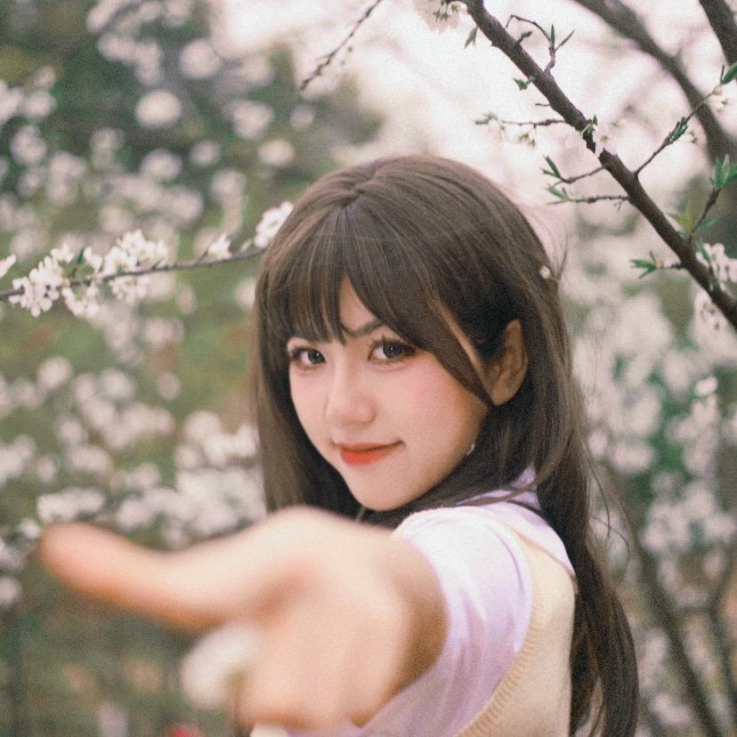 小白洲洲