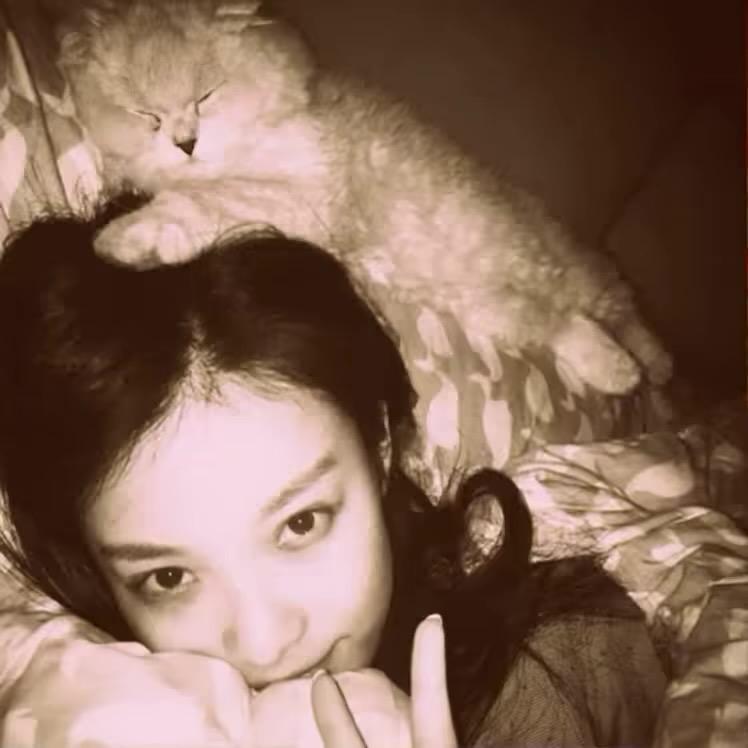 不是你的梦中人