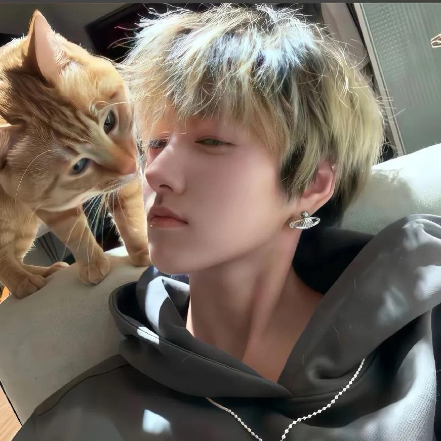 王者最菜国服韩信