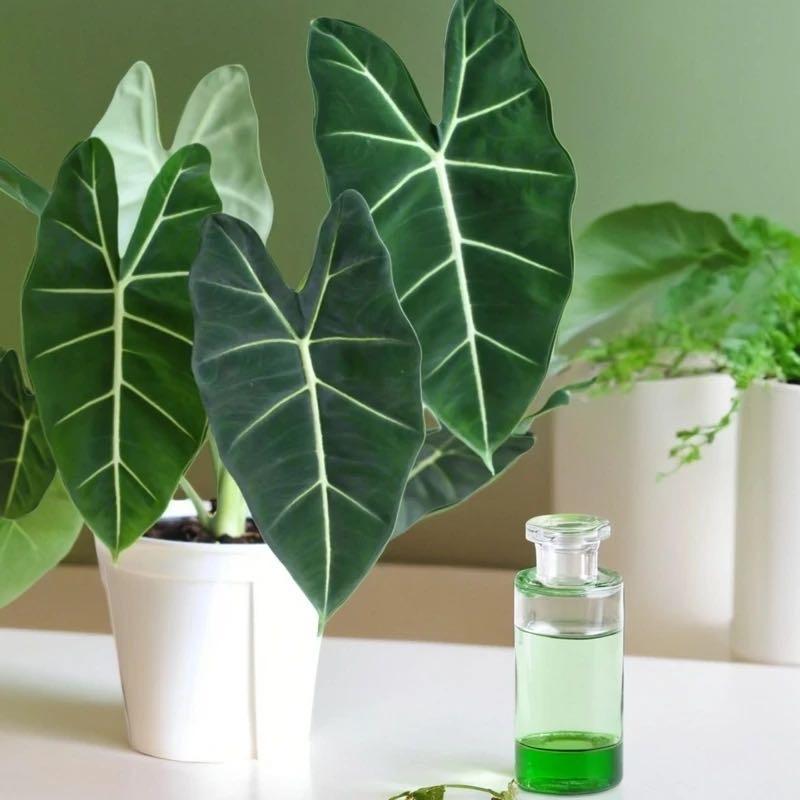 新疆梵花境花器