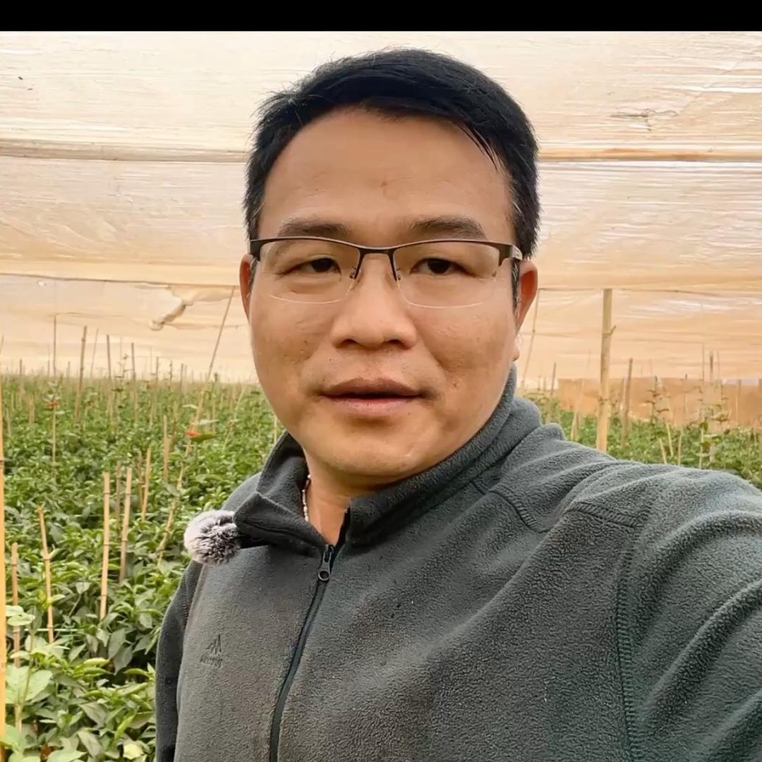 铁弹圆严