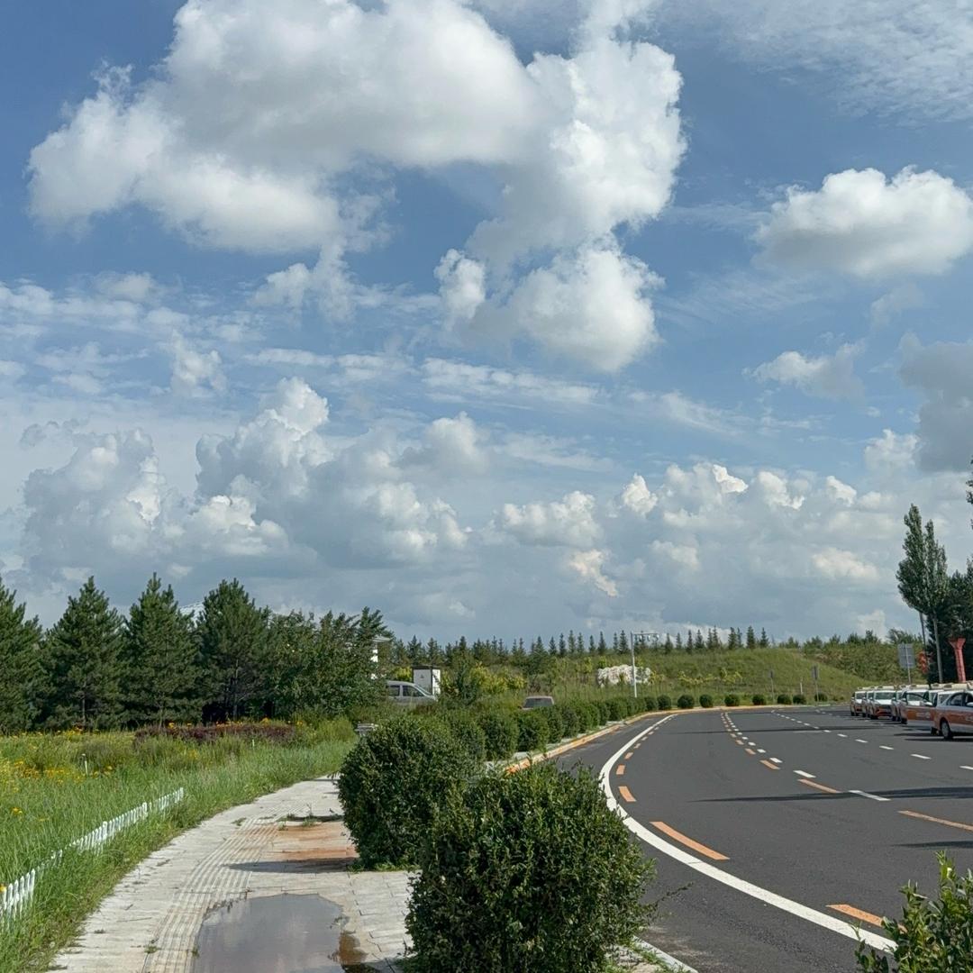 💐翩翩起舞💐