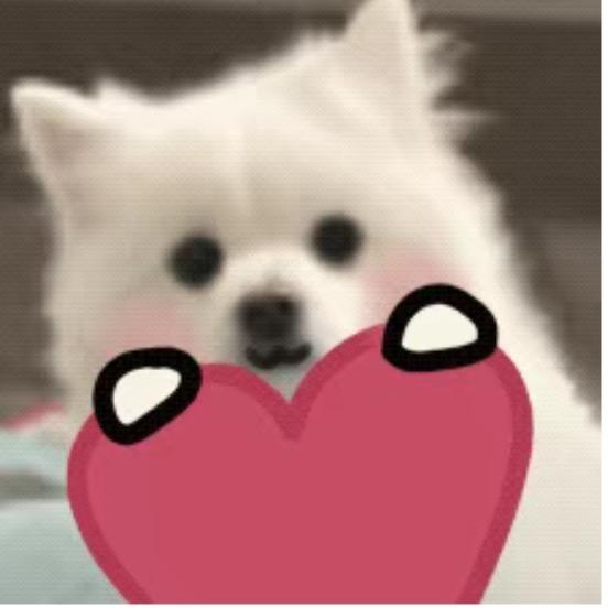 小可爱