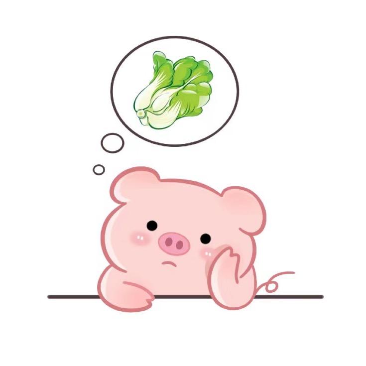 纠缠白菜的猪