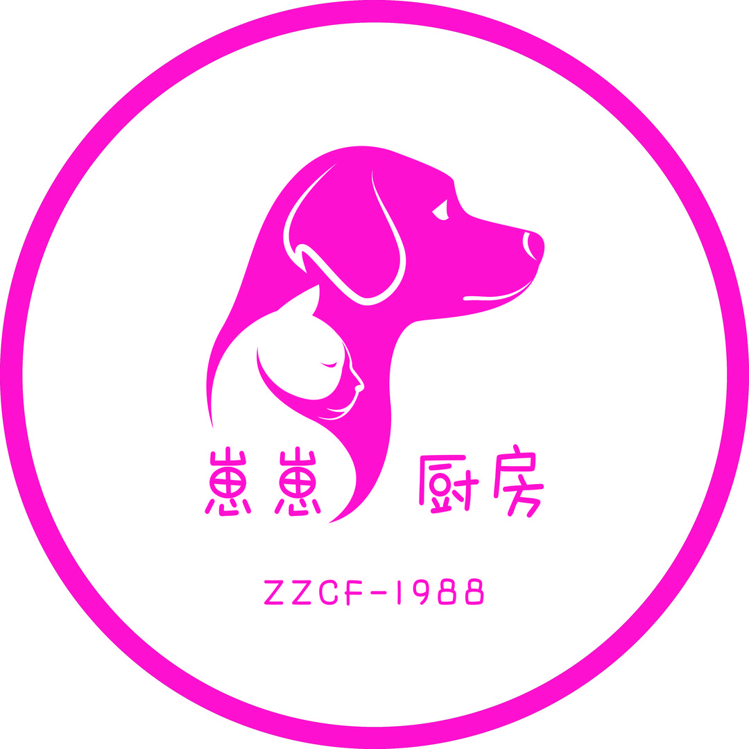 崽崽厨房