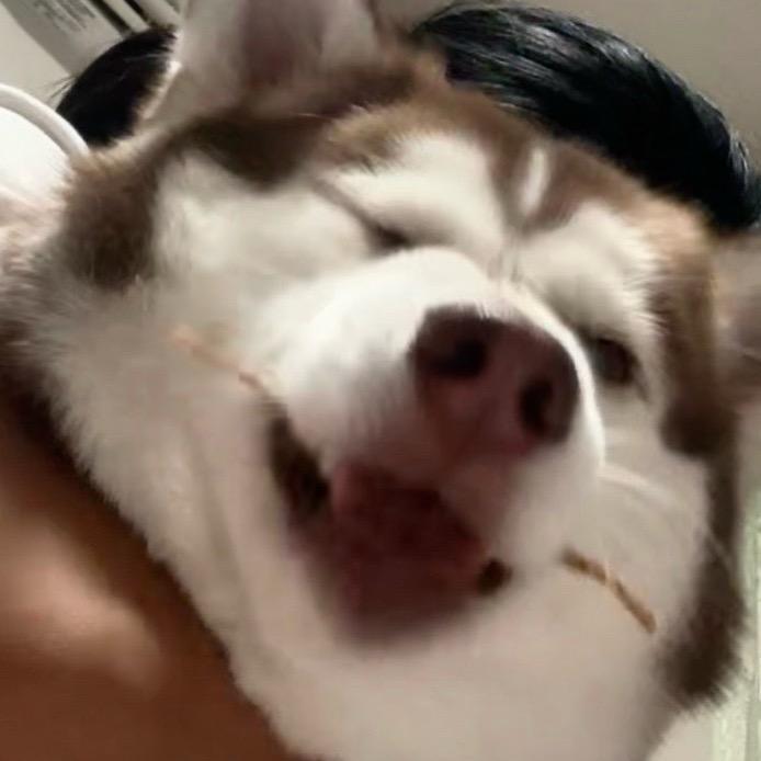 发很久的呆