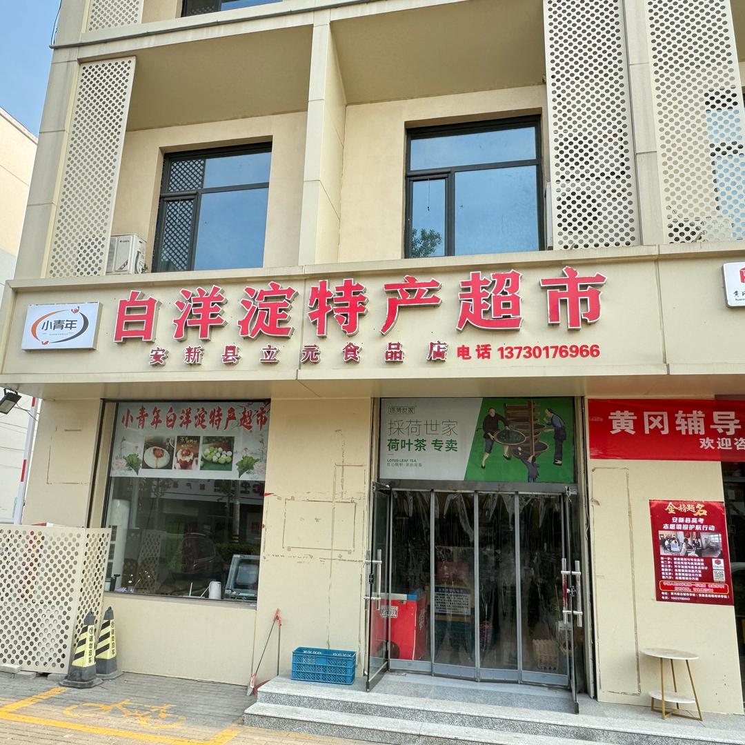 小青年白洋淀特产超市