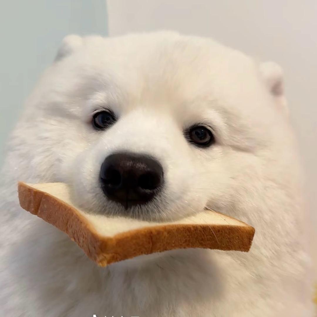 囍財ʕ•̫͡•ʕ