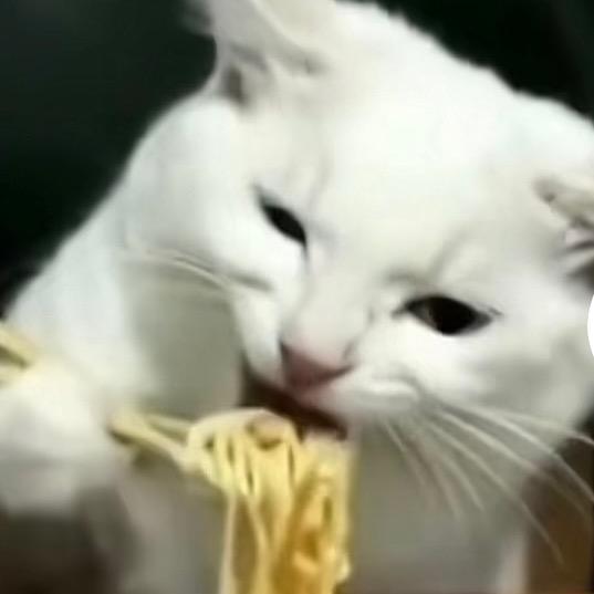 糊涂