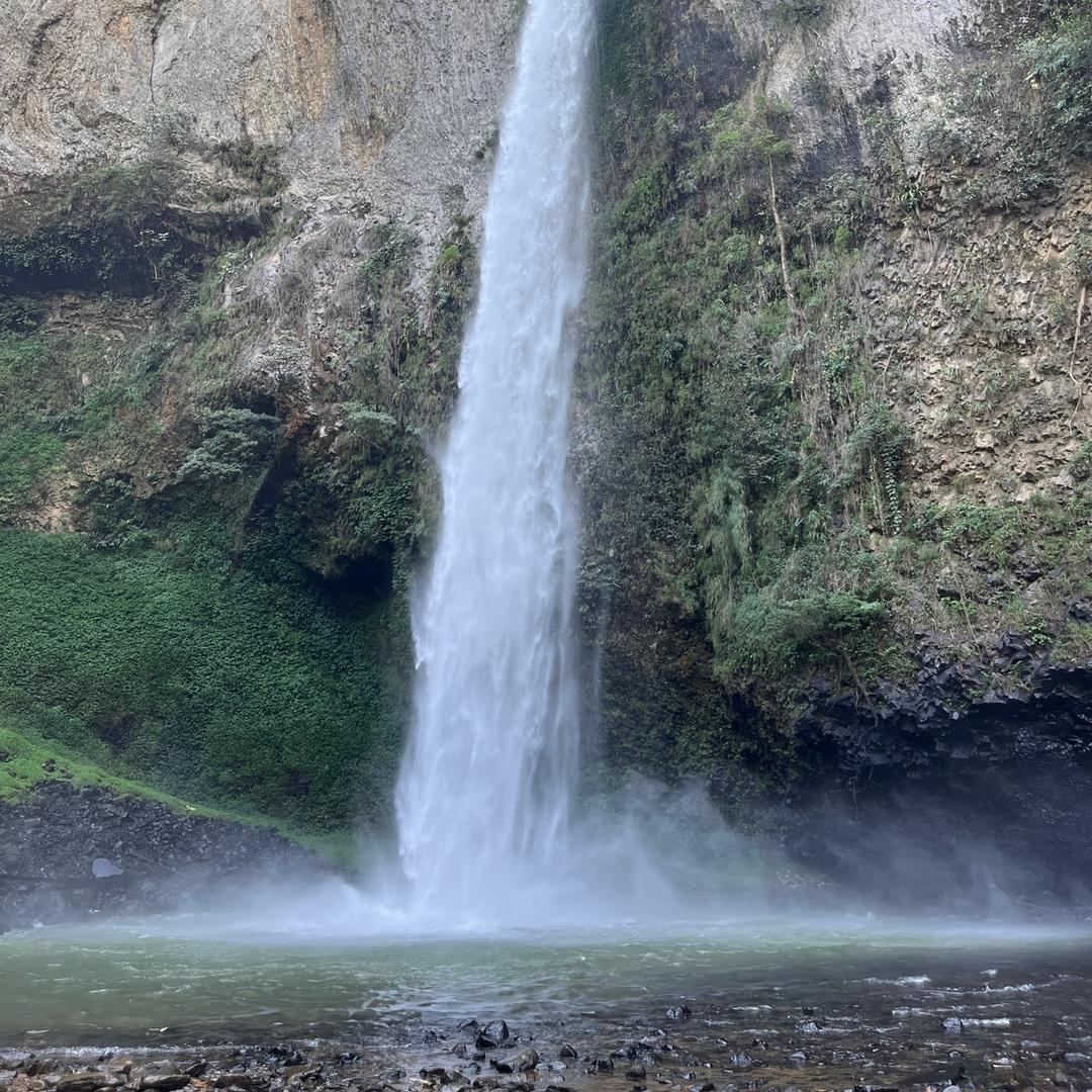 阿杨山中行