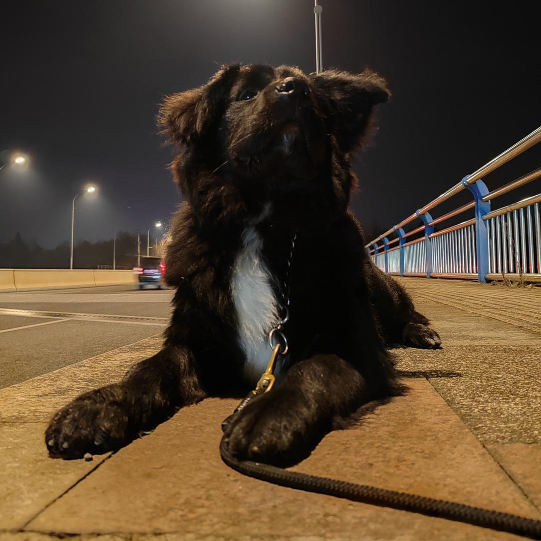 关于🎣我是认真的