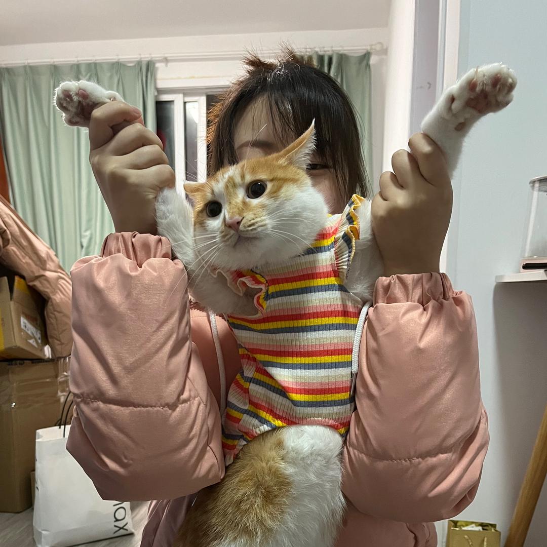 虎子说猫