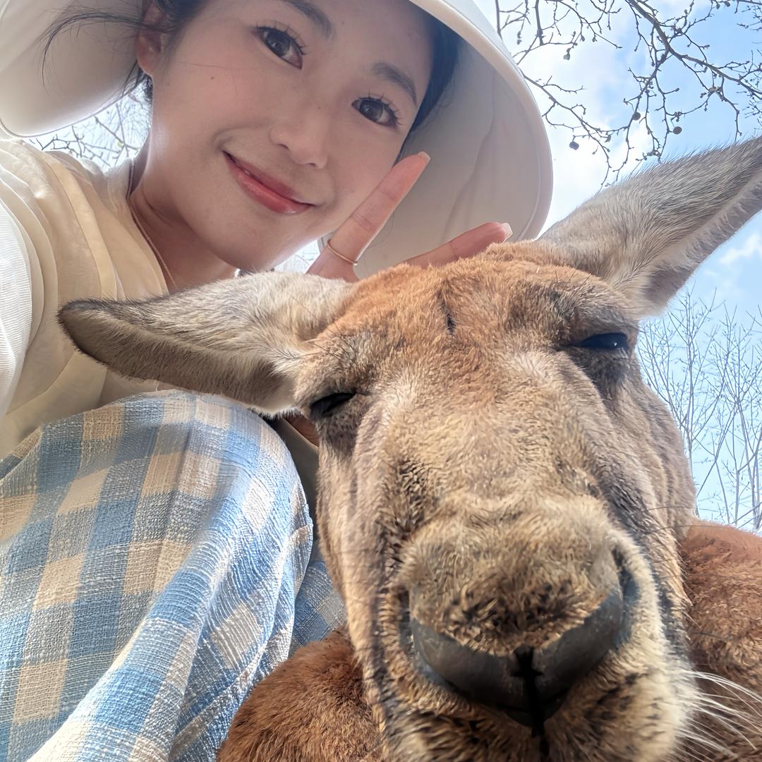 济野小吃货