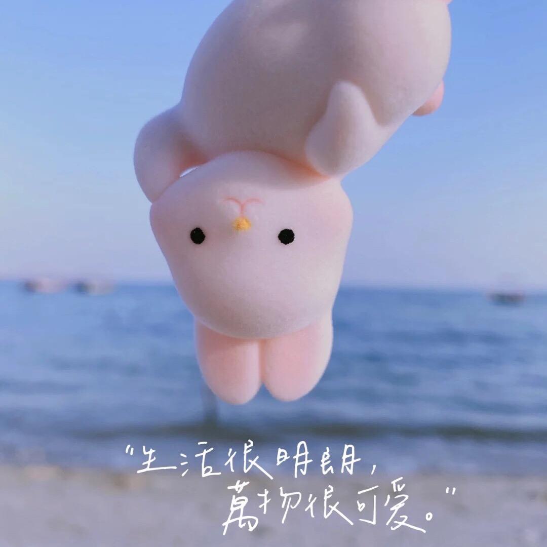 小七baby