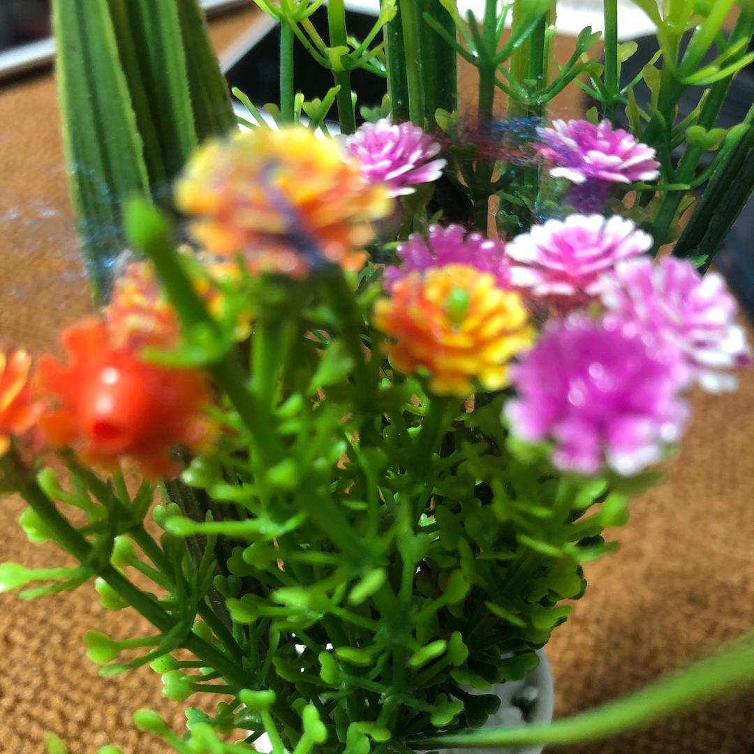 民间艺术表演教学