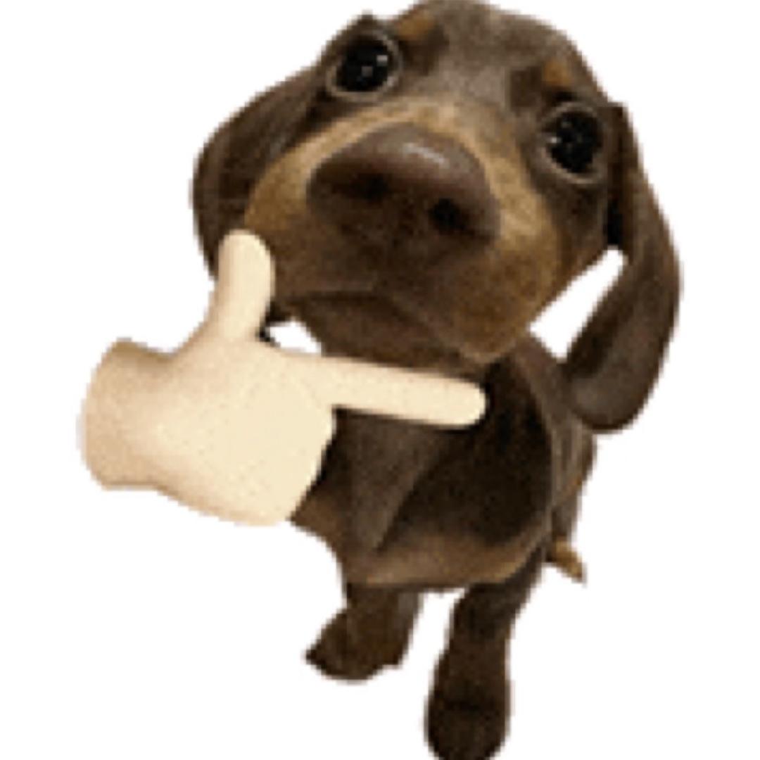 重庆不知名美女