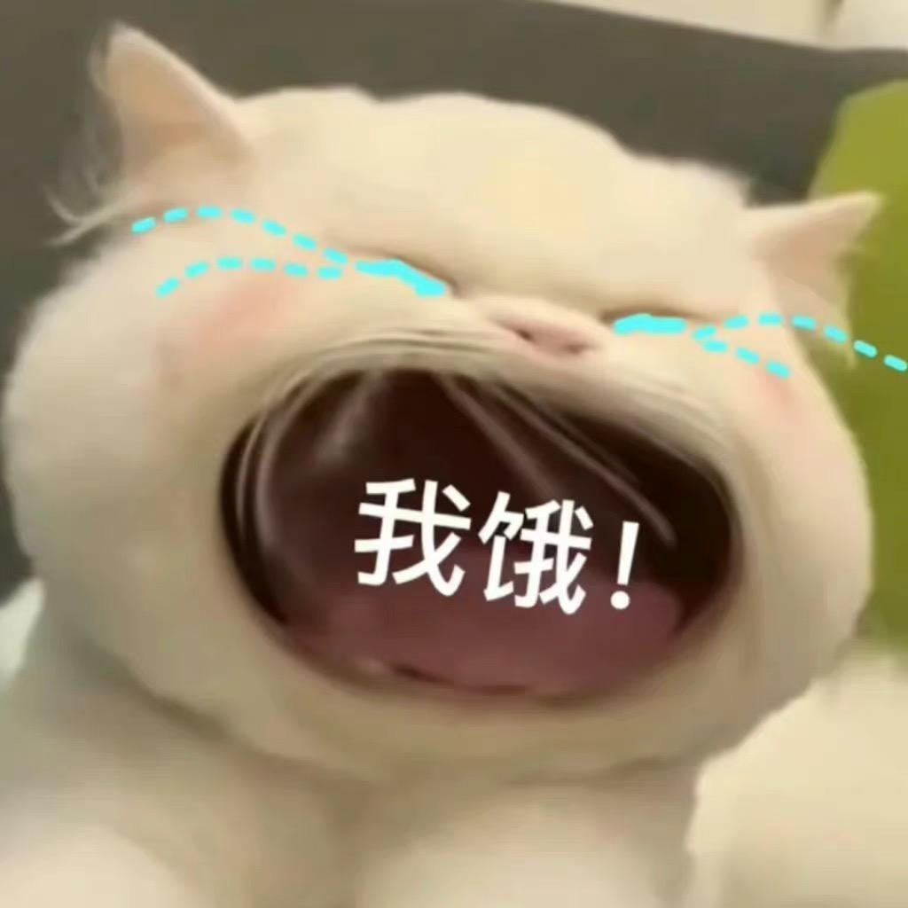 小助手💪🏻