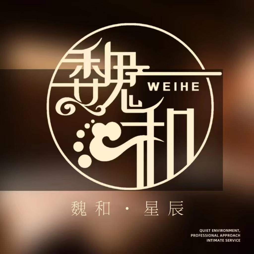 魏3