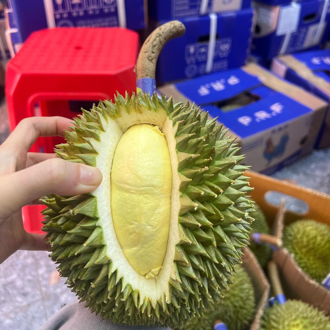 广州江南阿凡达