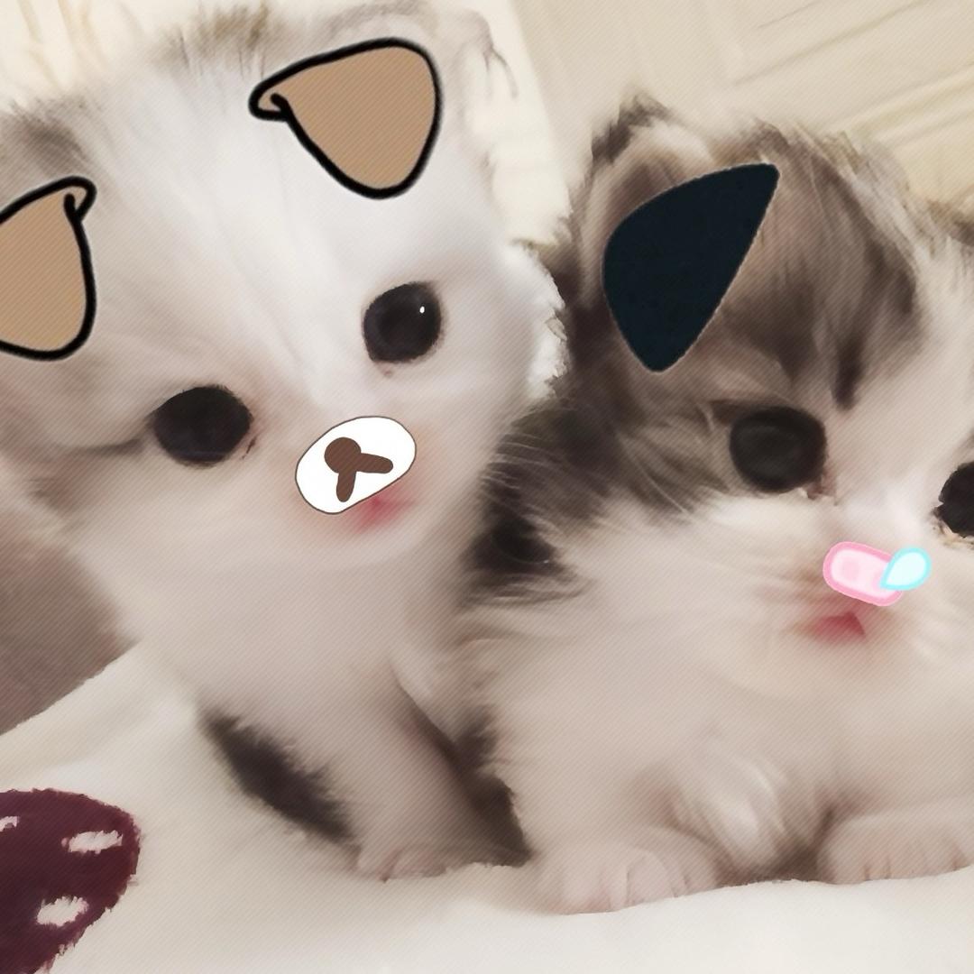我是老婆奴