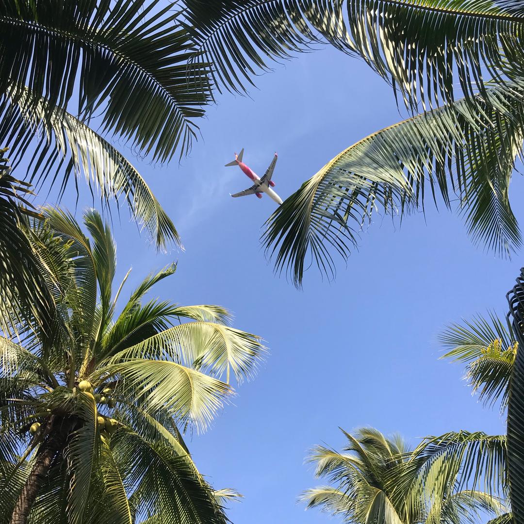 没有冬天的夏天