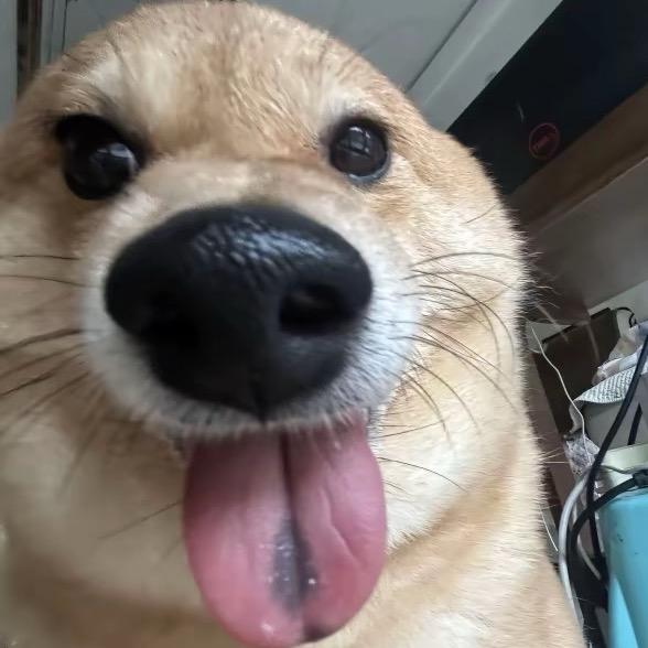 喜欢有开衫的男孩子