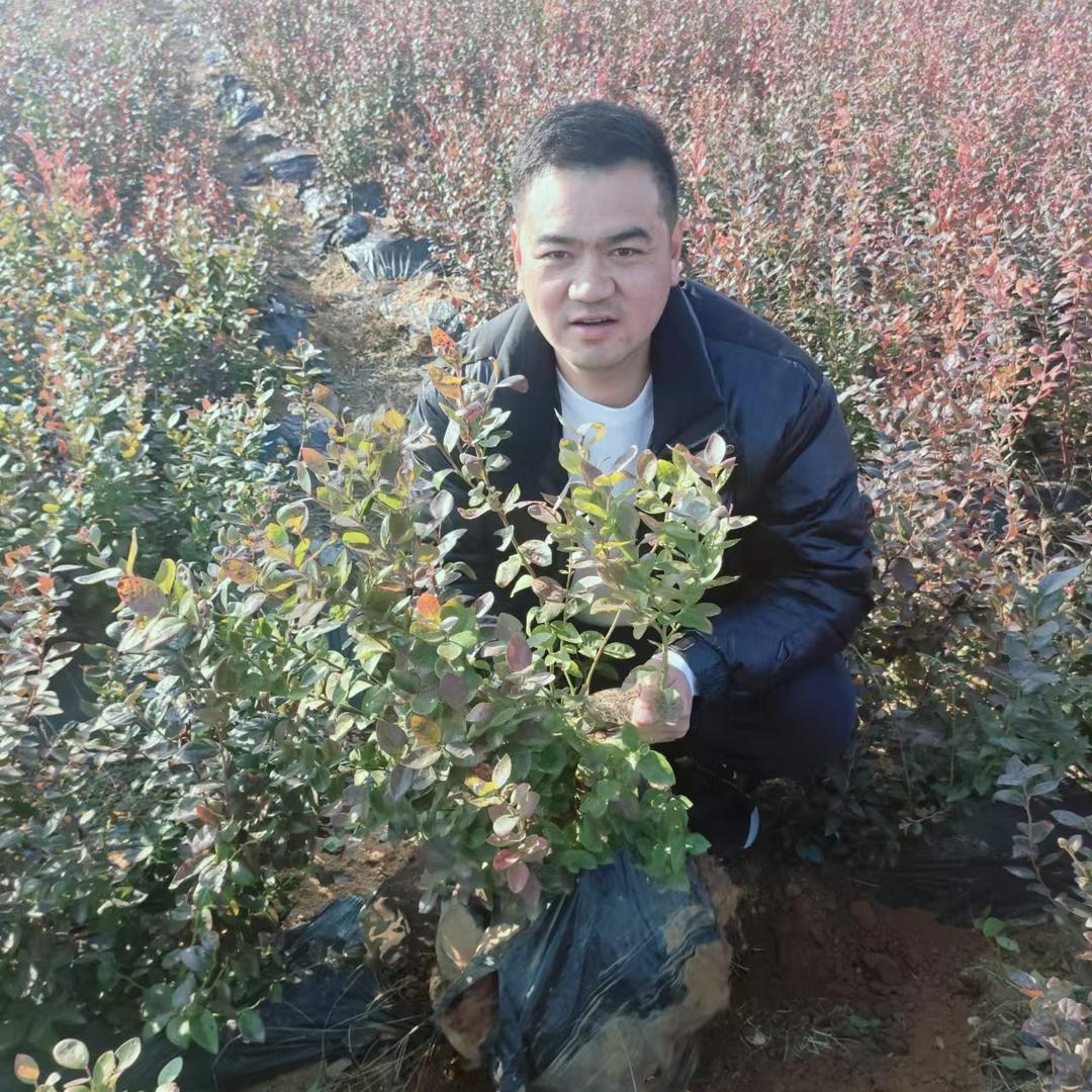 希梅果树苗木专营店
