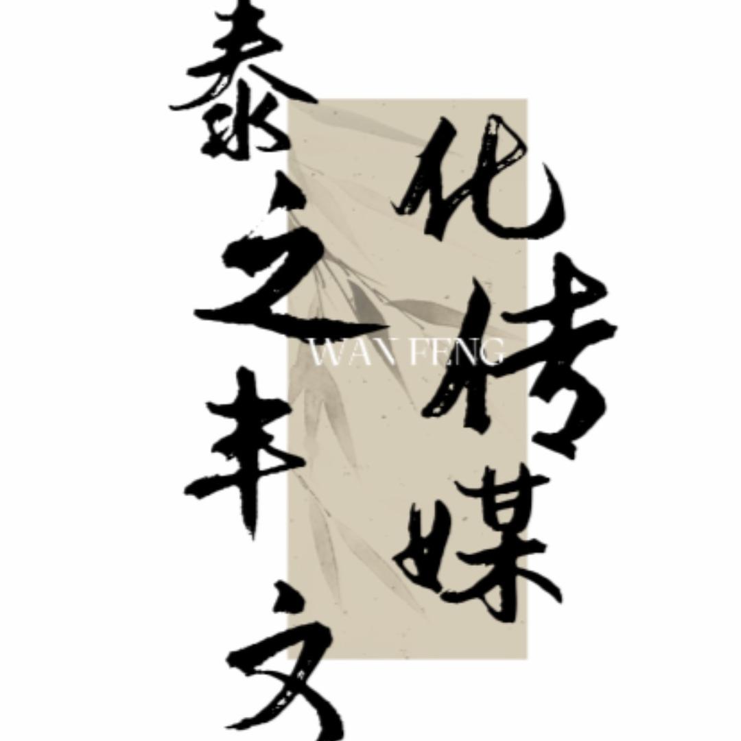 泰之丰传媒