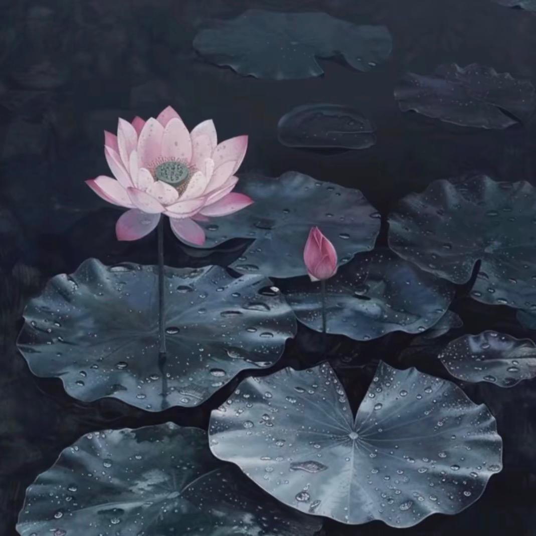 小黑炭