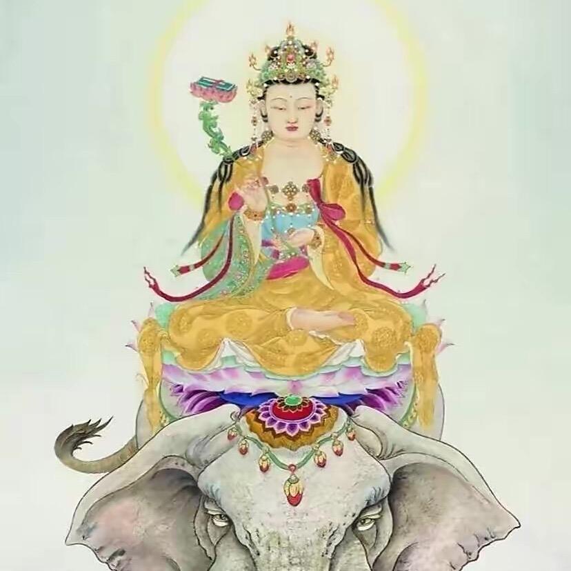 普贤菩萨🐉