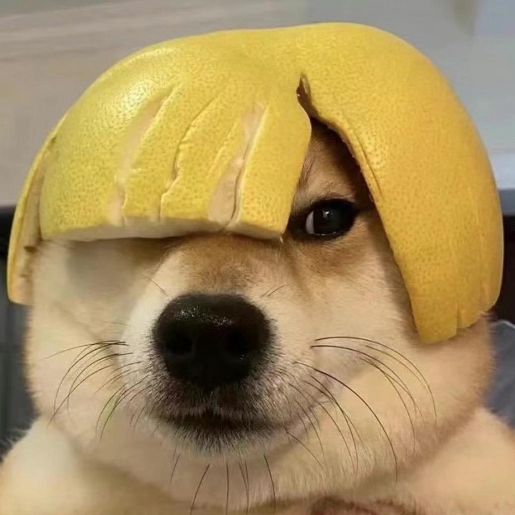 六儿大王