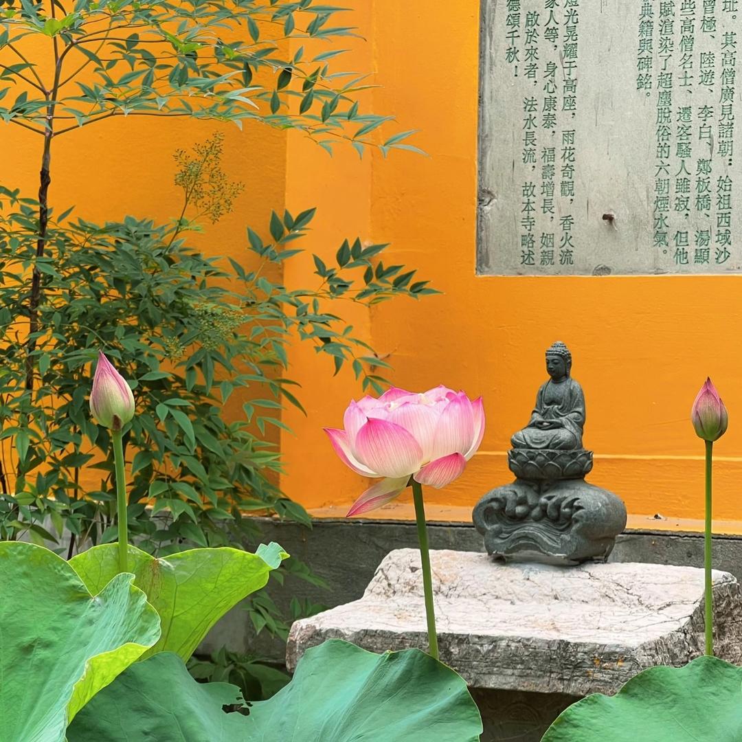 潍坊高新区刘福晋花饽饽