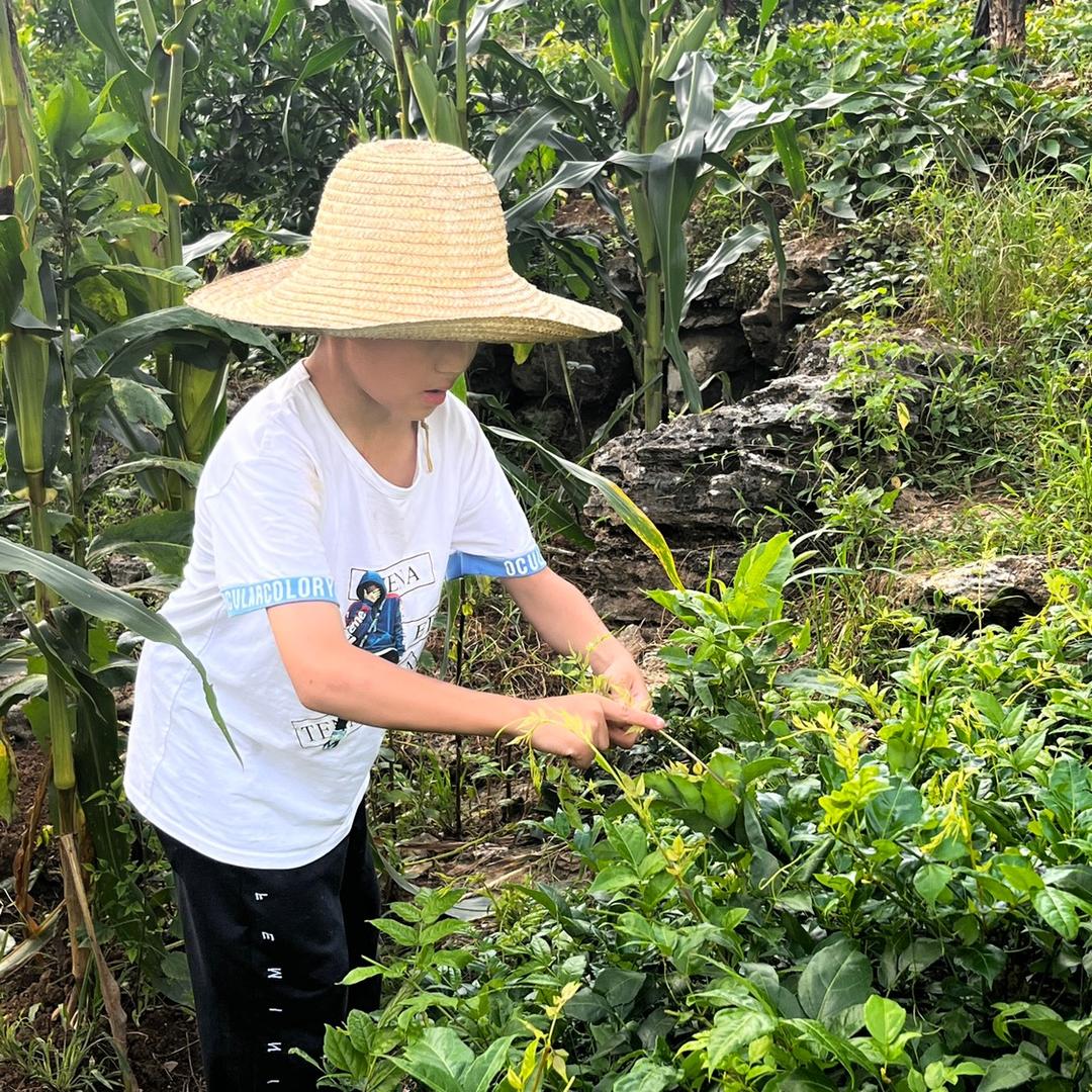 莫家河粑粑妹儿