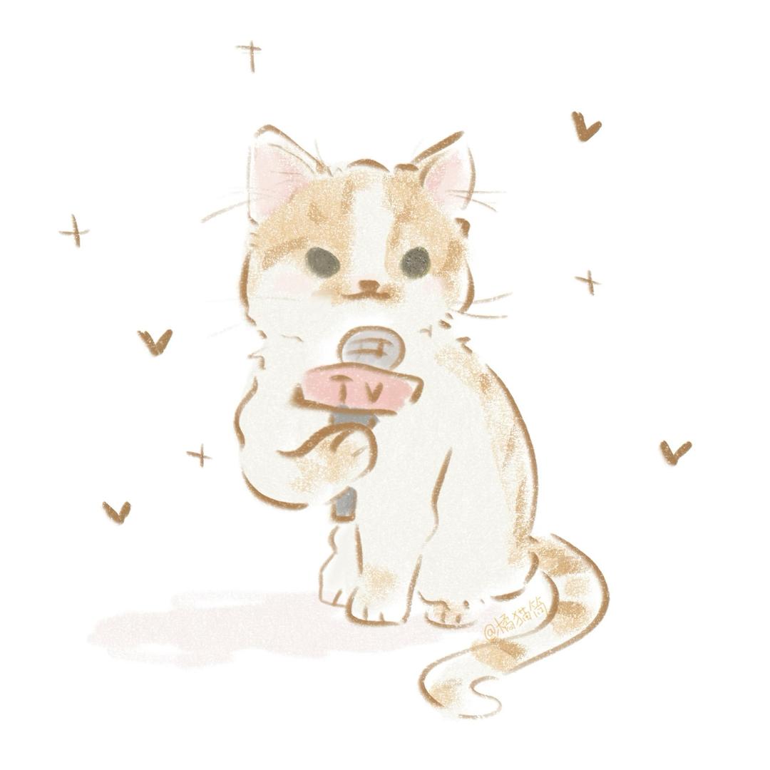 橘猫筒