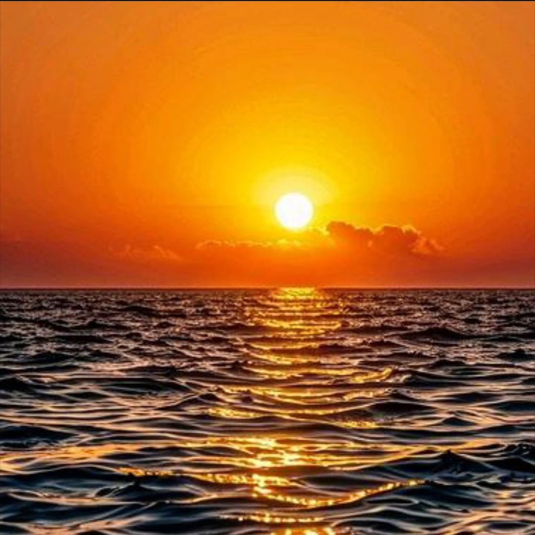 木森【再创辉煌】