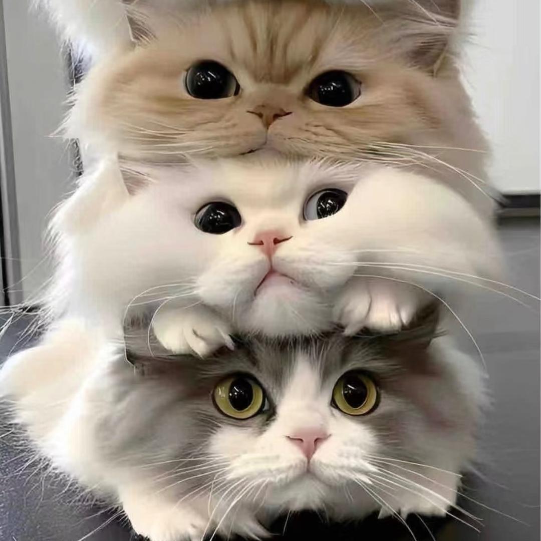 汐～