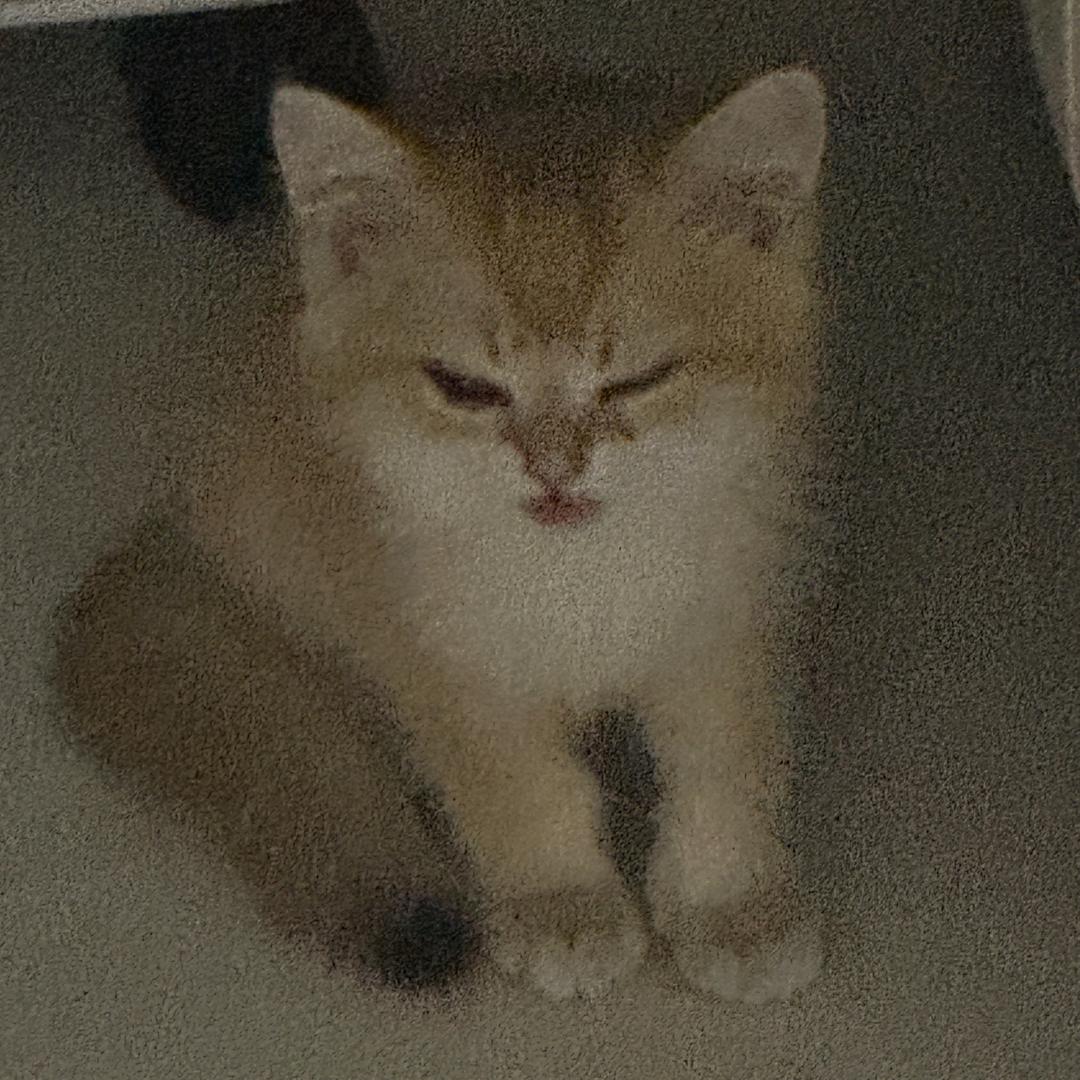 1eeeO