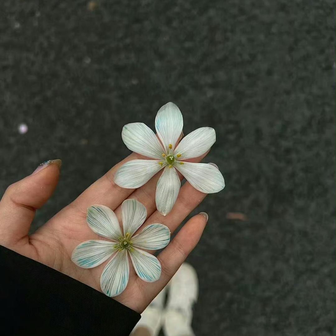@.初见☘️