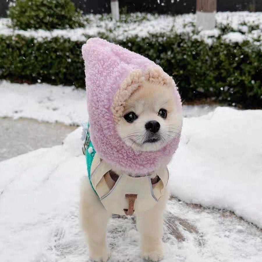阿真