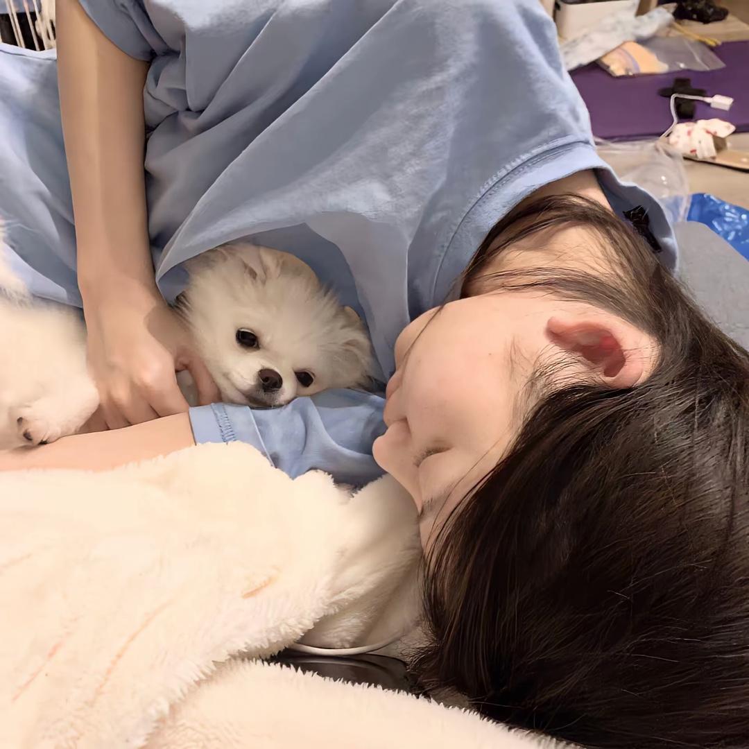 呆呆文