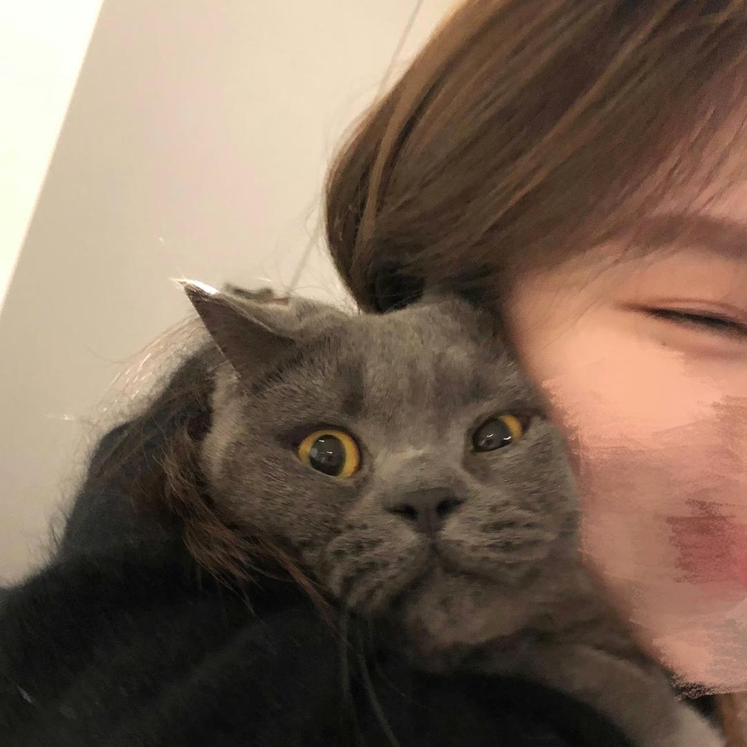 隐形点赞号