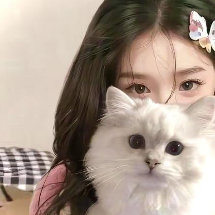 十一🐶